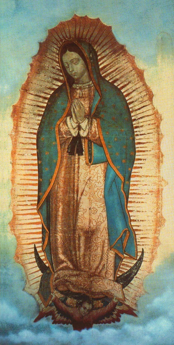 730x1440 Imágenes de la Virgen de Guadalupe, Phone