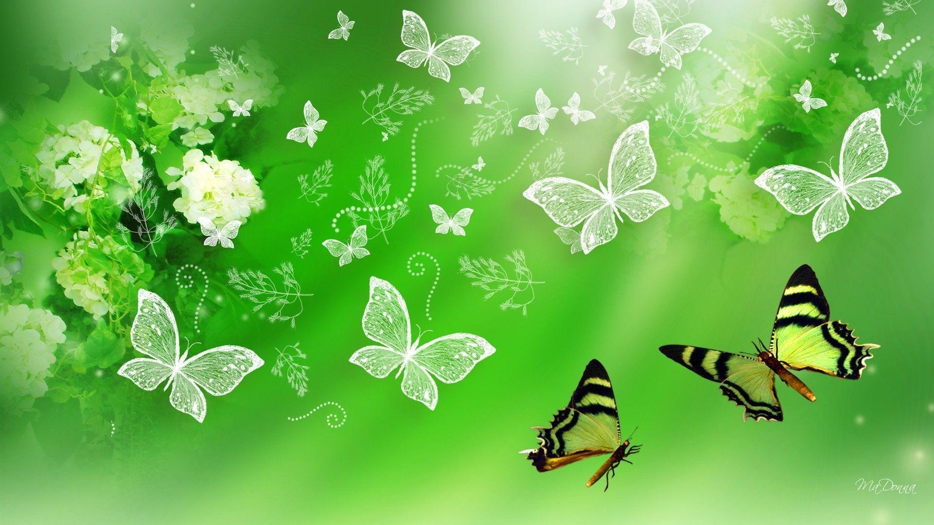 1930x1080 Green Butterfly Wallpaper Free Green Butterfly Background, Desktop