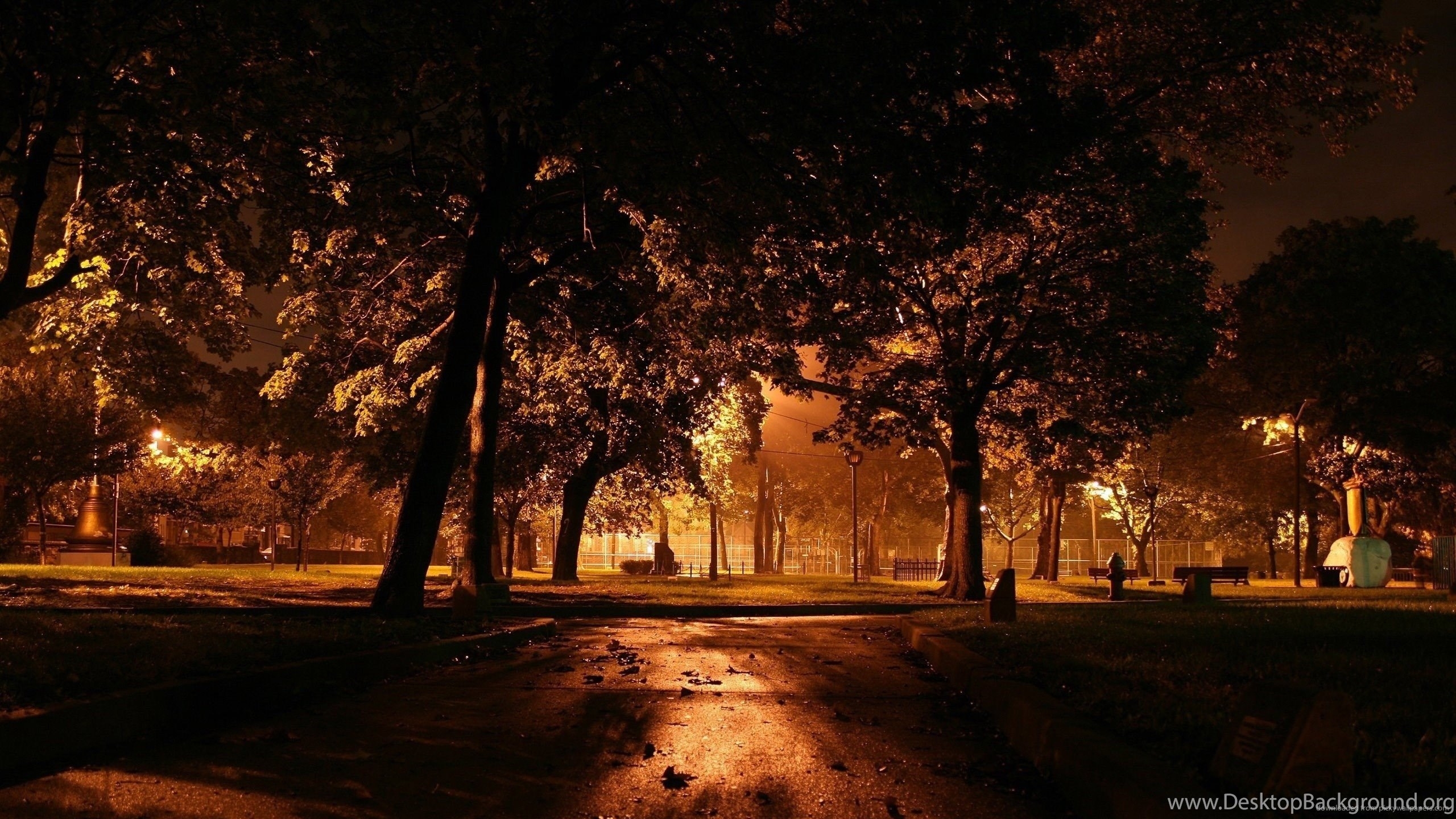 2560x1440 Download  Dark Night In The Fall Park Wallpaper Desktop Background, Desktop