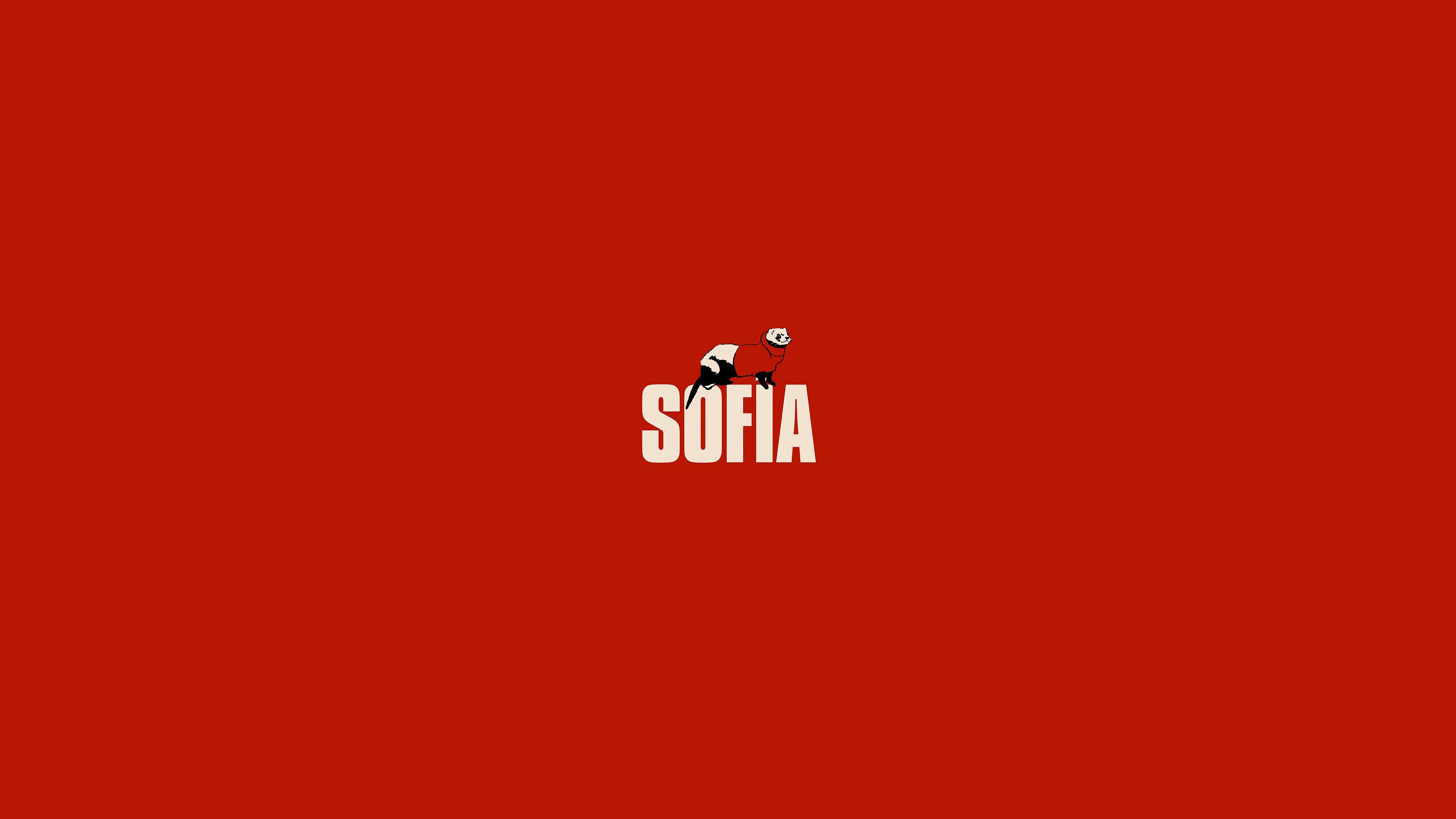 3840x2160 Sofia Money Heist 1080P Laptop Full HD Wallpaper, HD Minimalist 4K Wallpaper, Image, Photo and Background, Desktop