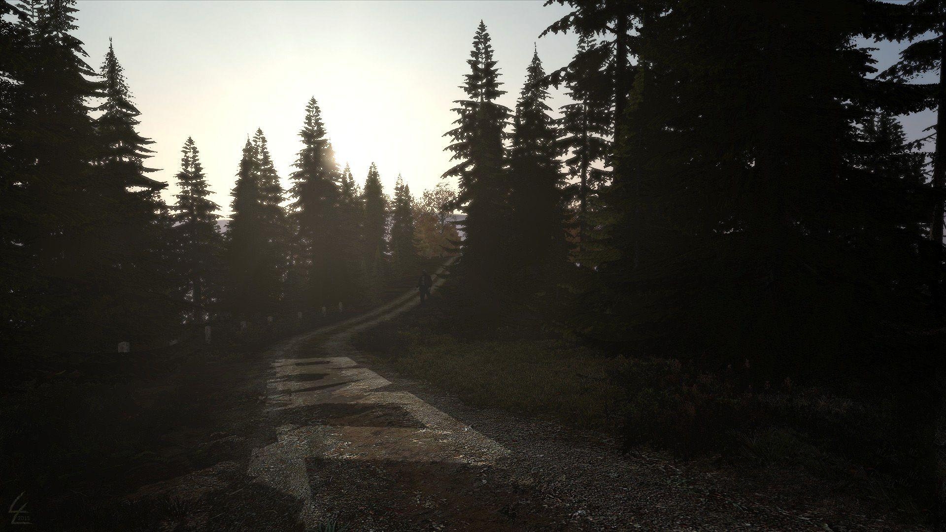 1920x1080 DayZ Wallpaper, Desktop