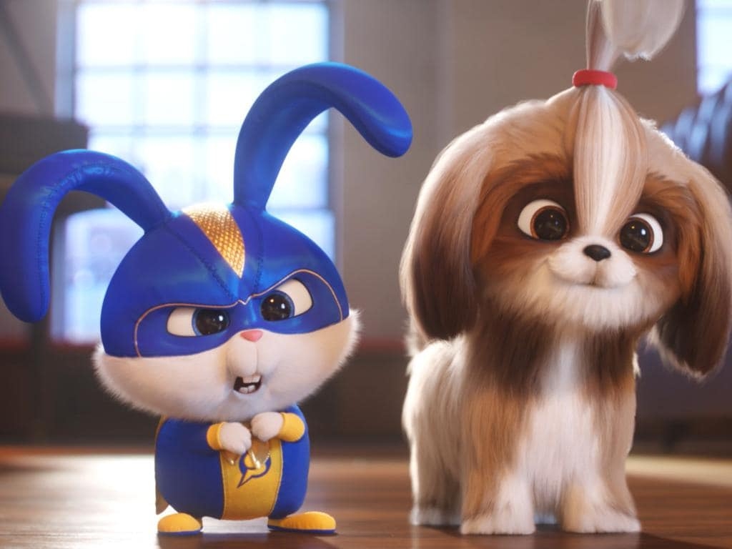 1030x770 Win tickets to see The Secret Life of Pets 2!, Desktop