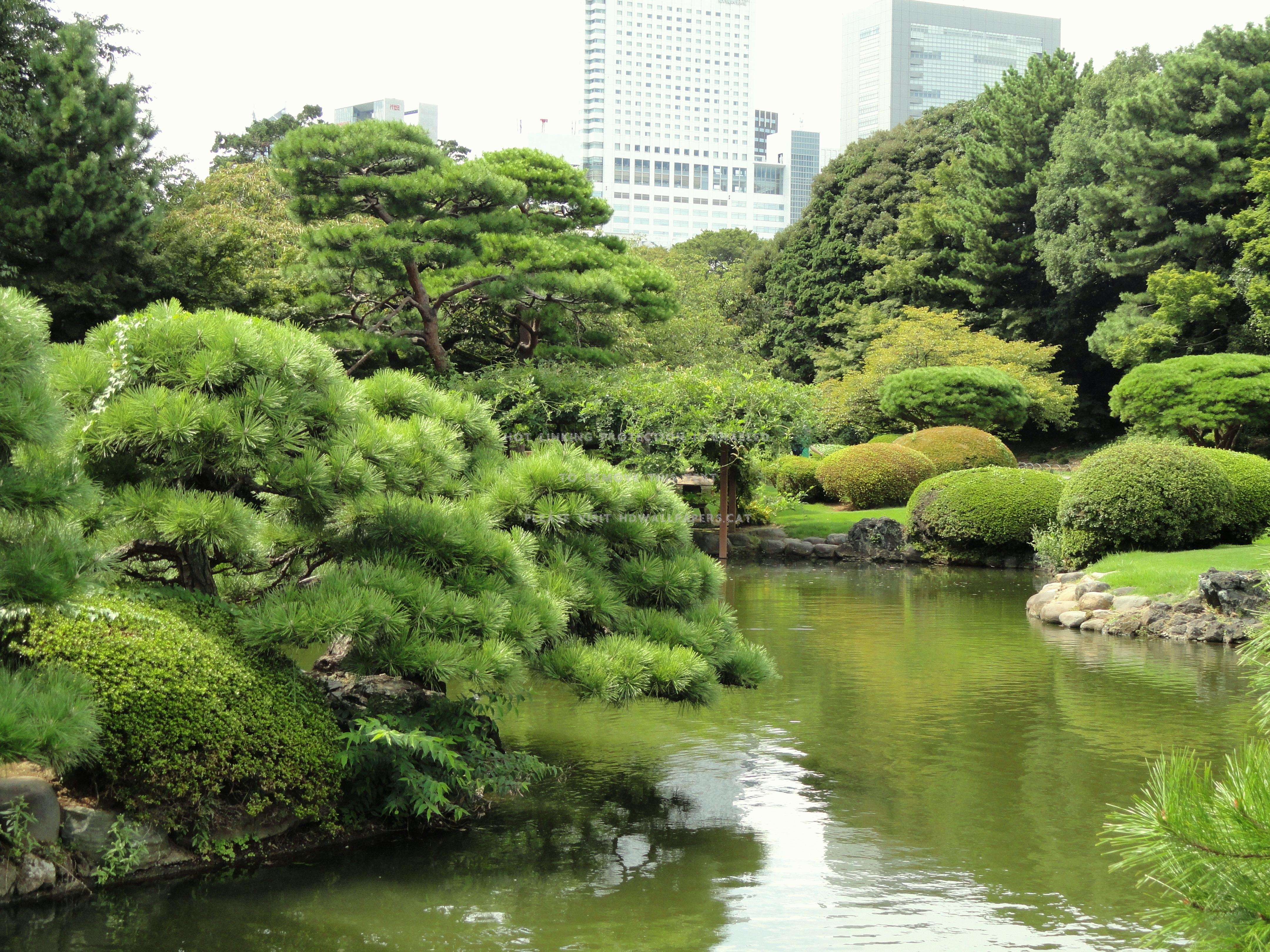 4320x3240 shinjuku gyoen japanese lake tokyo park, Desktop