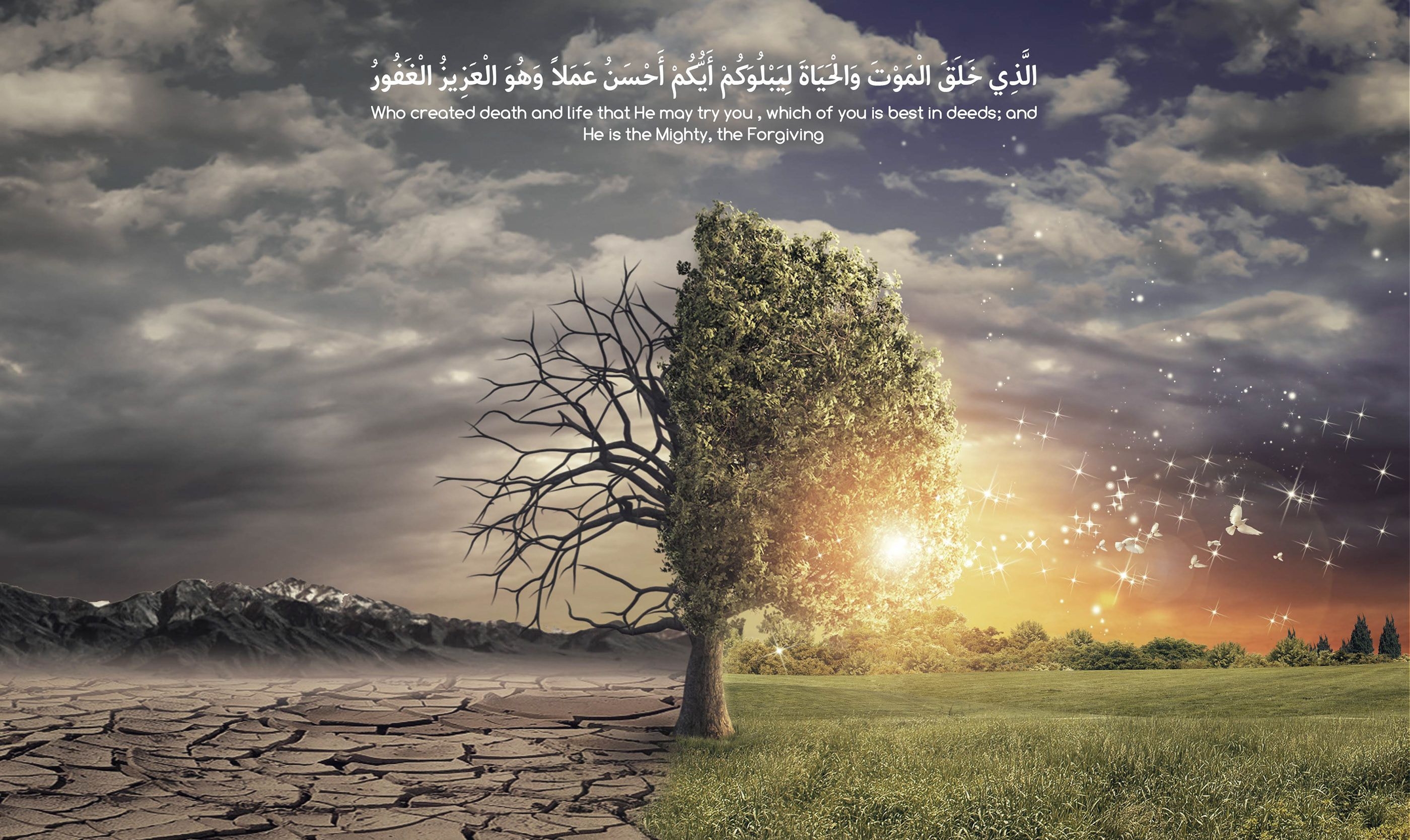 2800x1670 Islamic Wallpaper Death and Life on.behance.net, Desktop