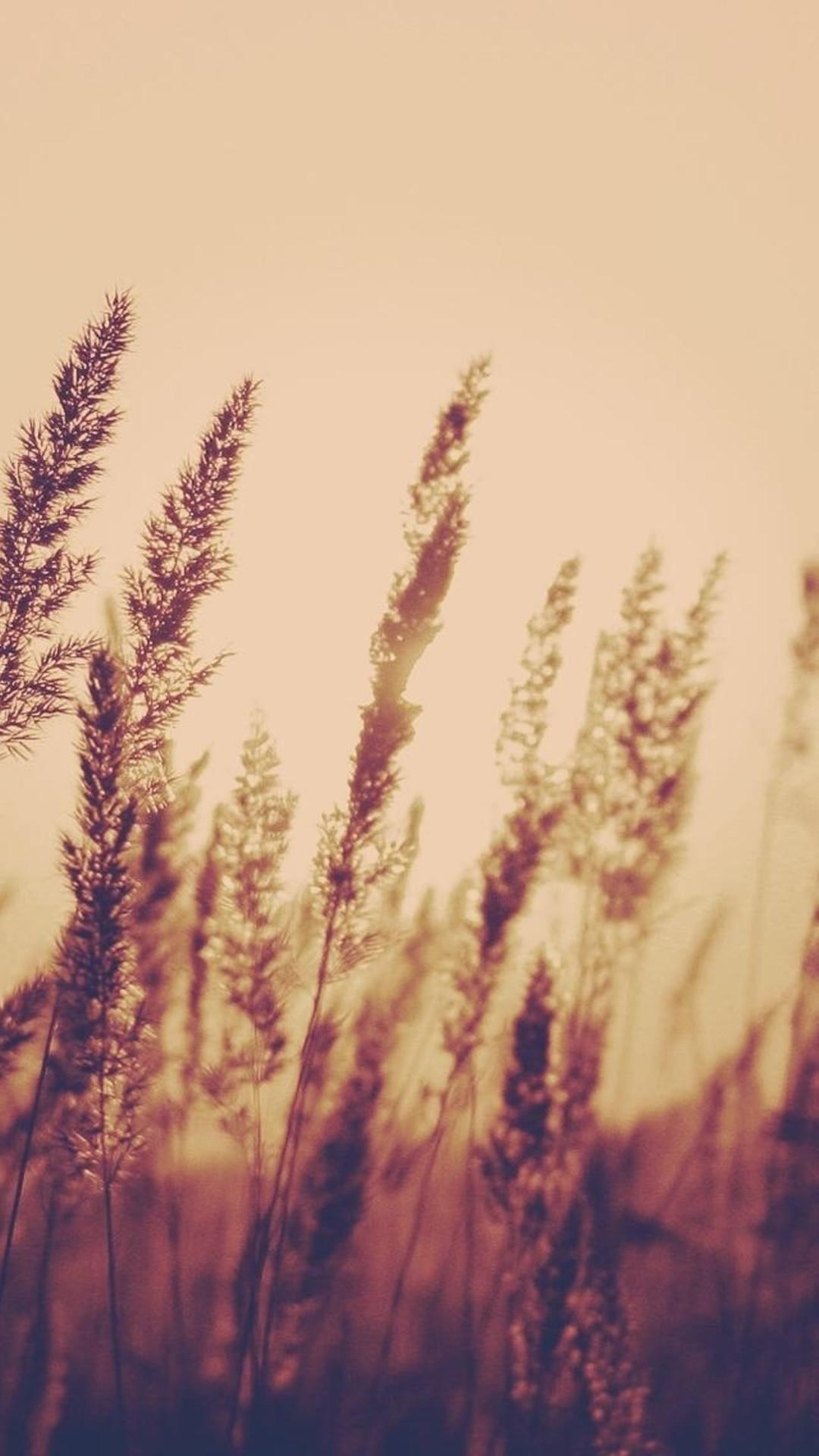 1080x1920 Aesthetic Wallpaper, Phone