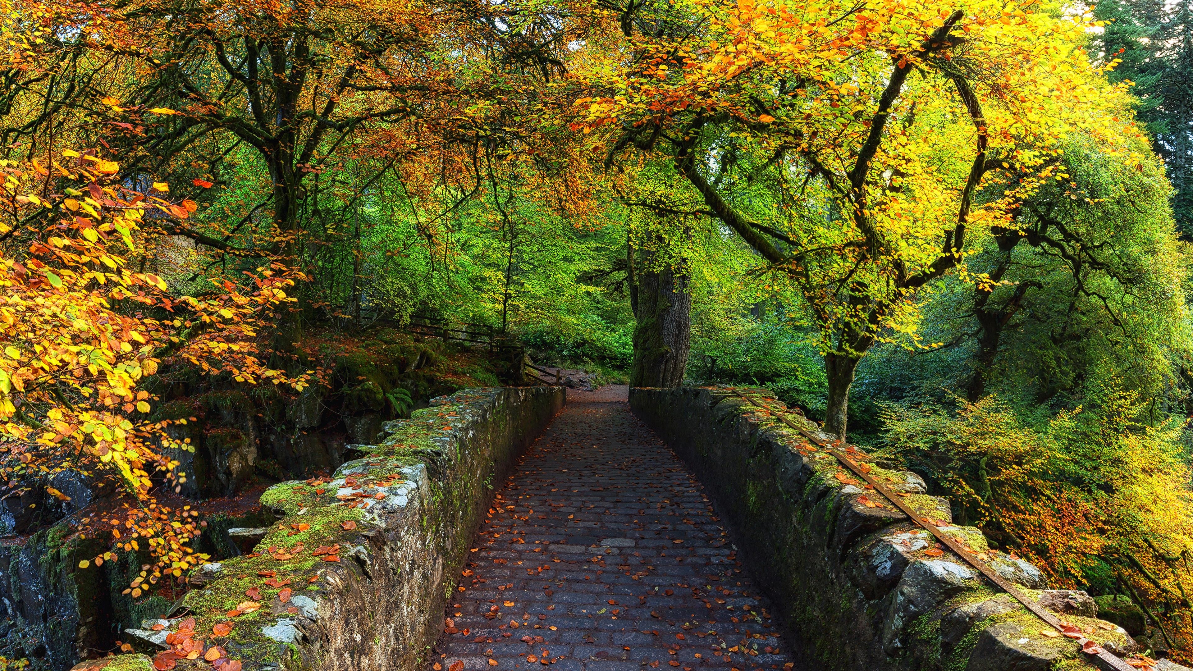 3840x2160 Picture Scotland Dunkeld Perthshire Autumn Nature Bridges, Desktop