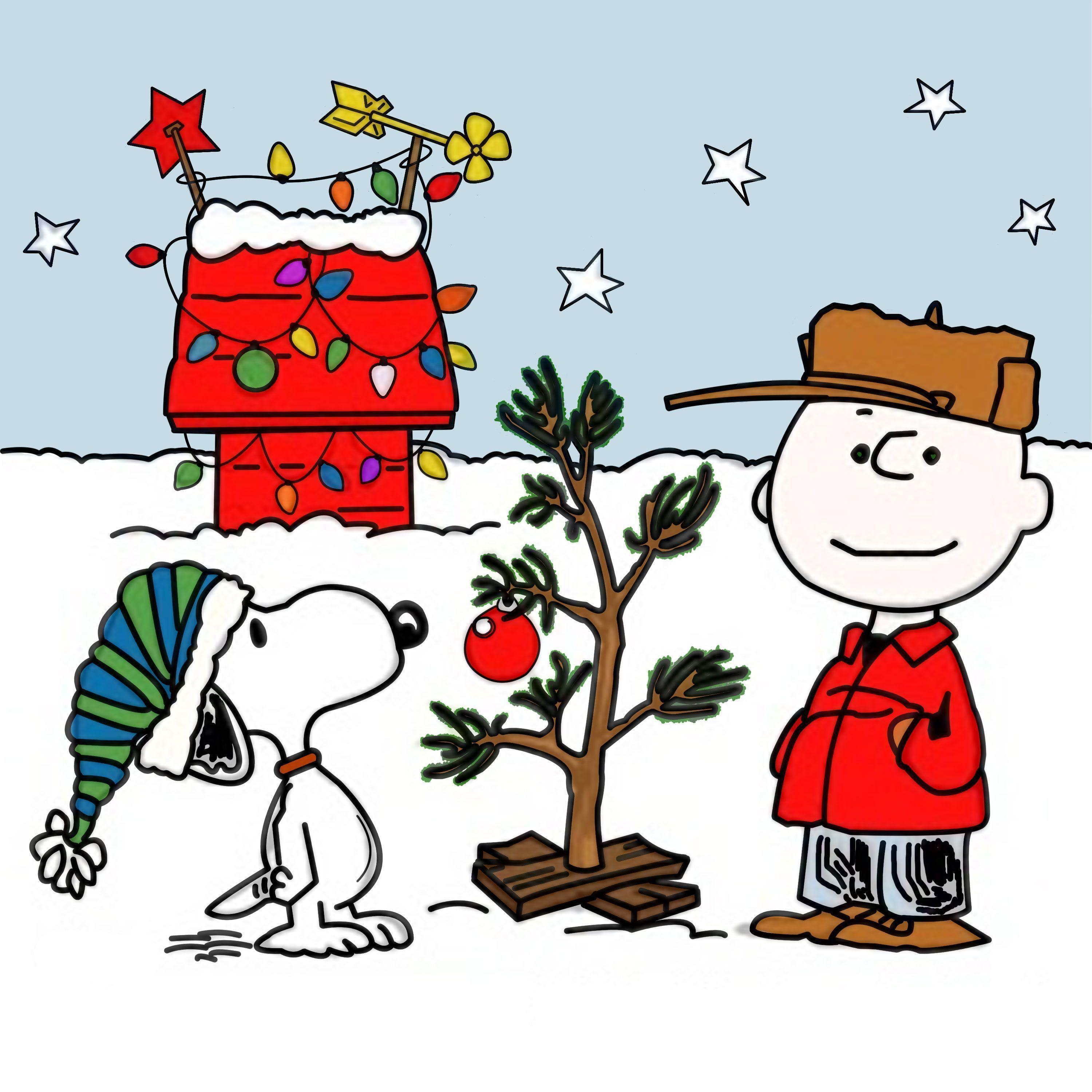 3000x3000 Xmas Stuff For > Charlie Brown Snoopy Christmas Wallpaper, Phone