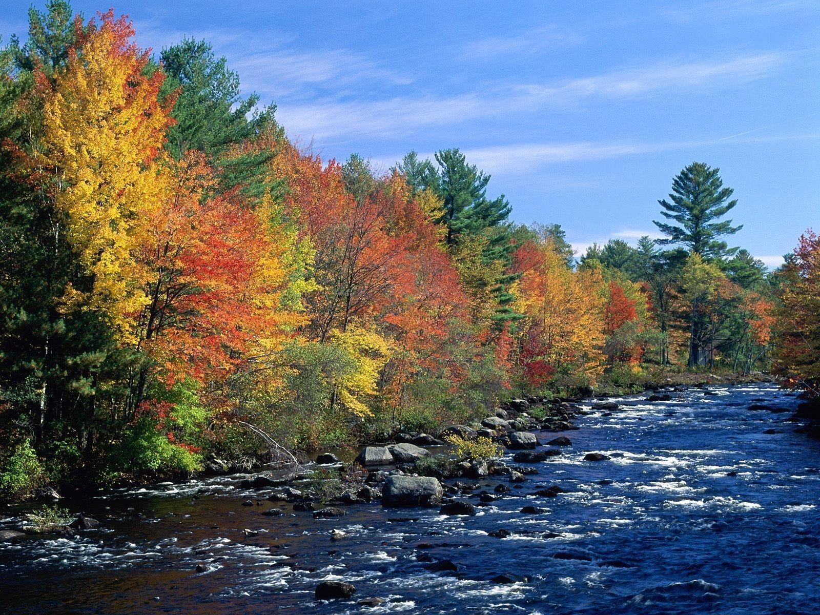 1600x1200 HD Wallpaper:  Nature Colors of New England HD free, Desktop