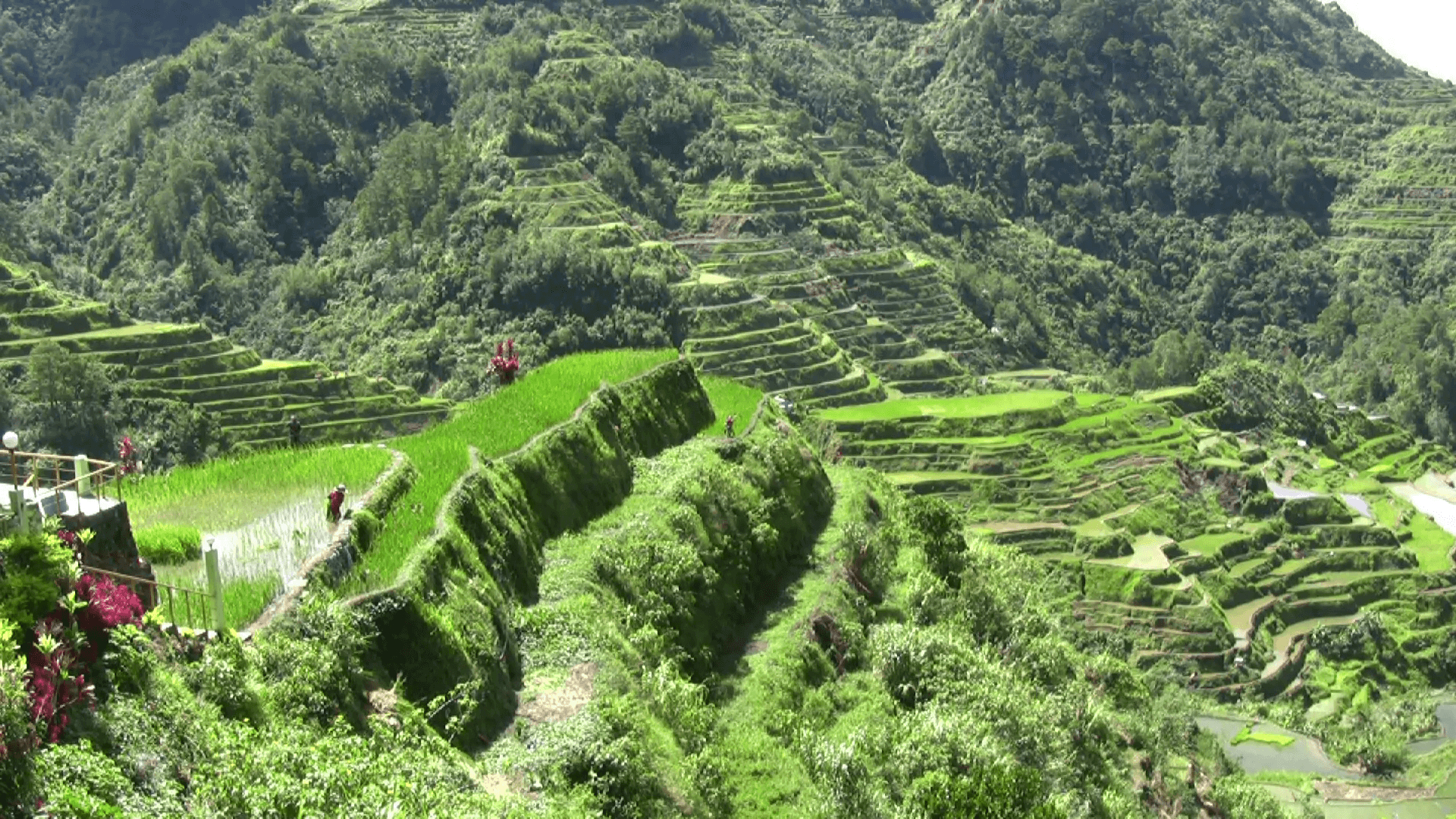 1920x1080 Banaue Rice Terraces Wallpaper Free Banaue Rice Terraces, Desktop