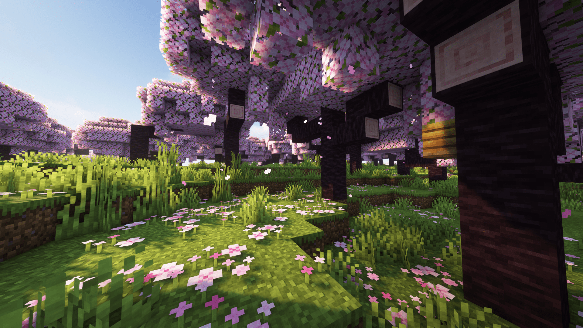 1920x1080 Minecraft, cherry blossom, video games, Desktop