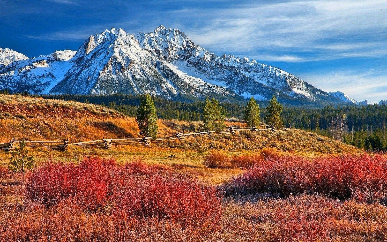 1600x1000 nature, Landscape, Snowy Peak, Forest, Grass, Mountain, Fence, Desktop