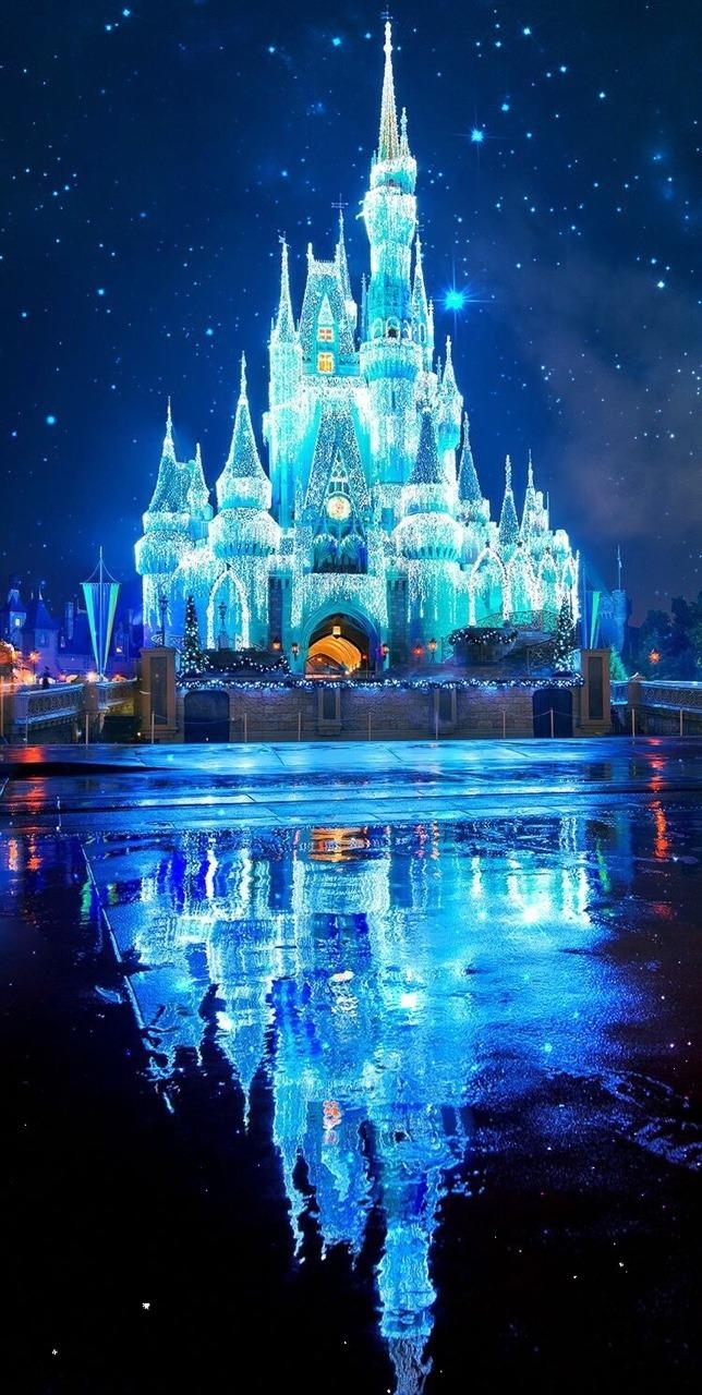 650x1280 Disney World, Cinderella Castle, Phone