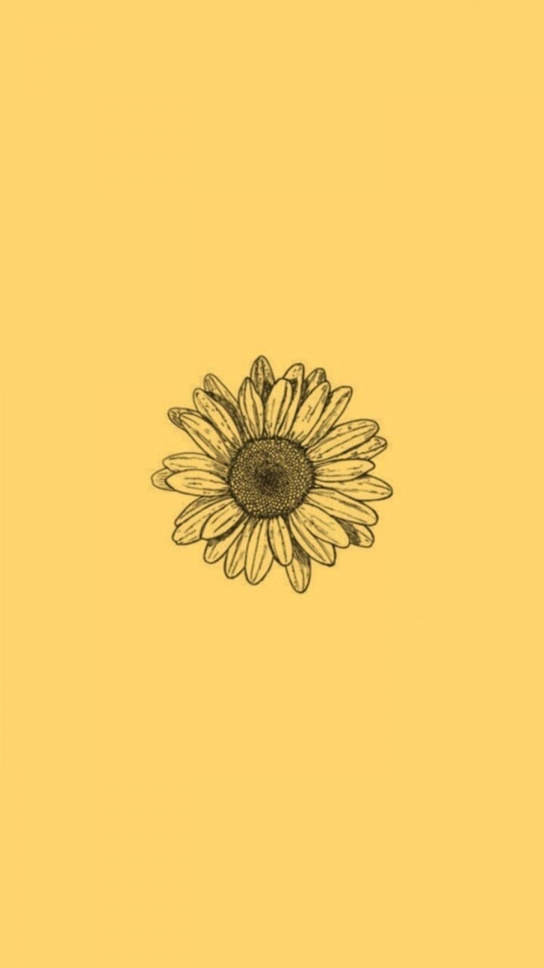 1080x1920 Yellow Aesthetic Sunflowers HD Wallpaper Desktop, Phone