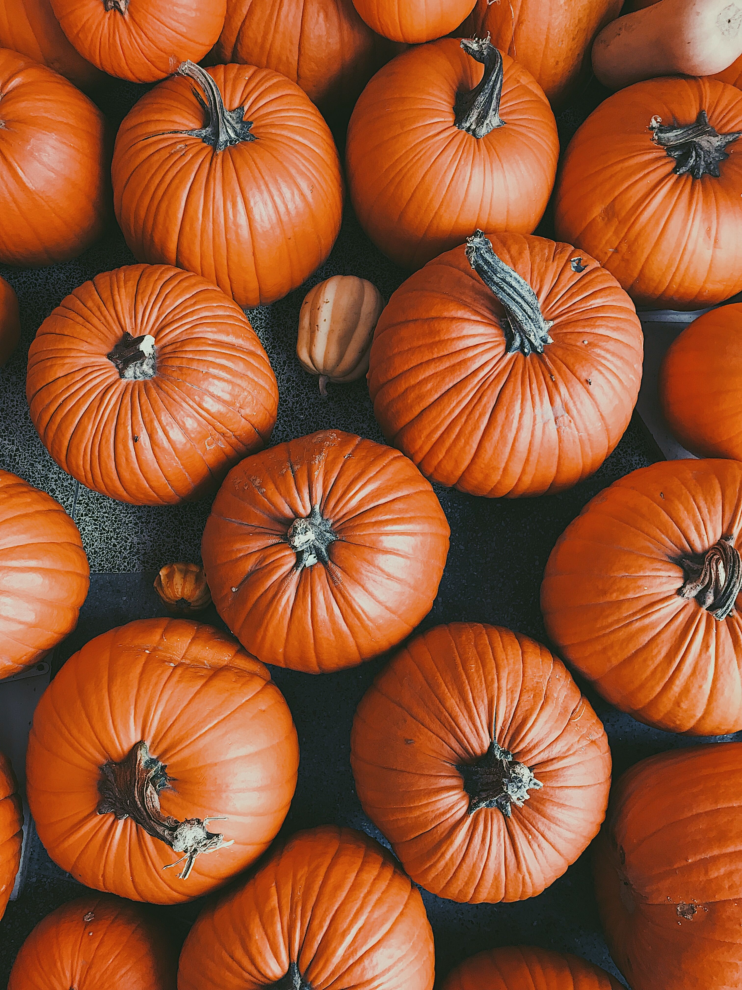 3030x4040 pumpkins fall Halloween wallpaper background iPhone android pattern vsco cute. Halloween wallpaper, Halloween wallpaper background, Pumpkin wallpaper, Phone