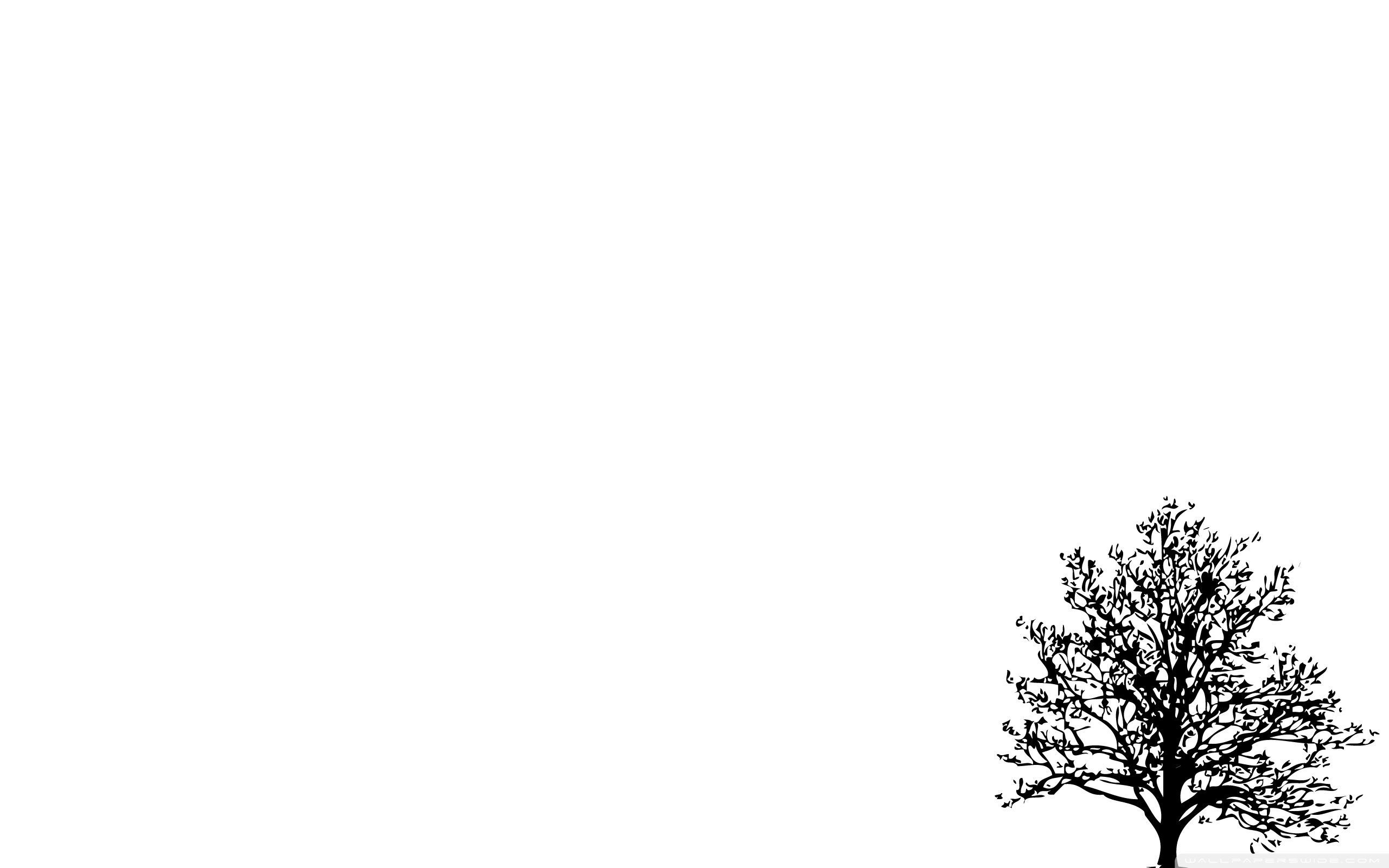 2560x1600 White Minimalist Wallpaper Free White Minimalist Background, Desktop