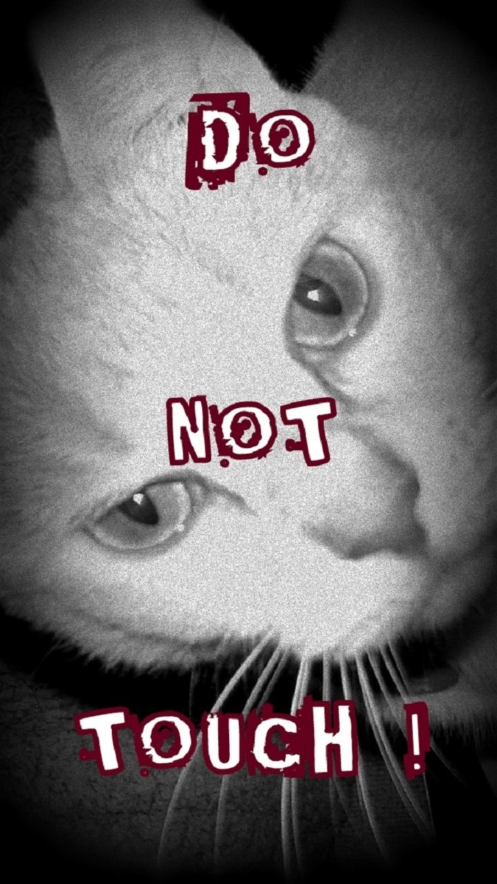 720x1280 DO NOT TOUCH! -Photo of my furkid Kira looking up in black and white with words for Zedge lock screen wallpaper. LO. Funny cats, Lock screen wallpaper, Lockscreen, Phone