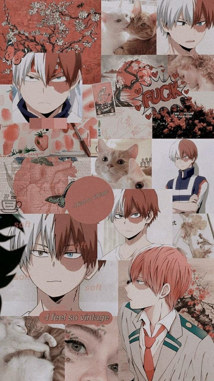 720x1280 Shoto Todoroki from My Hero Academia.weheartit.com, Phone