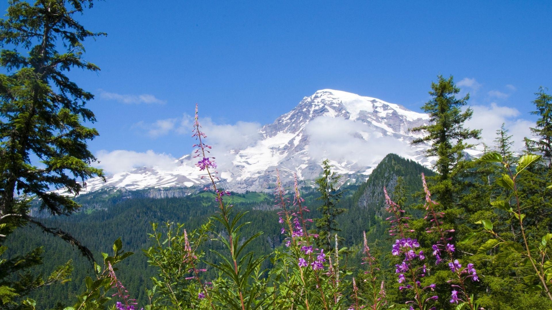 1920x1080 Download Wallpaper  National park mount rainier national, Desktop