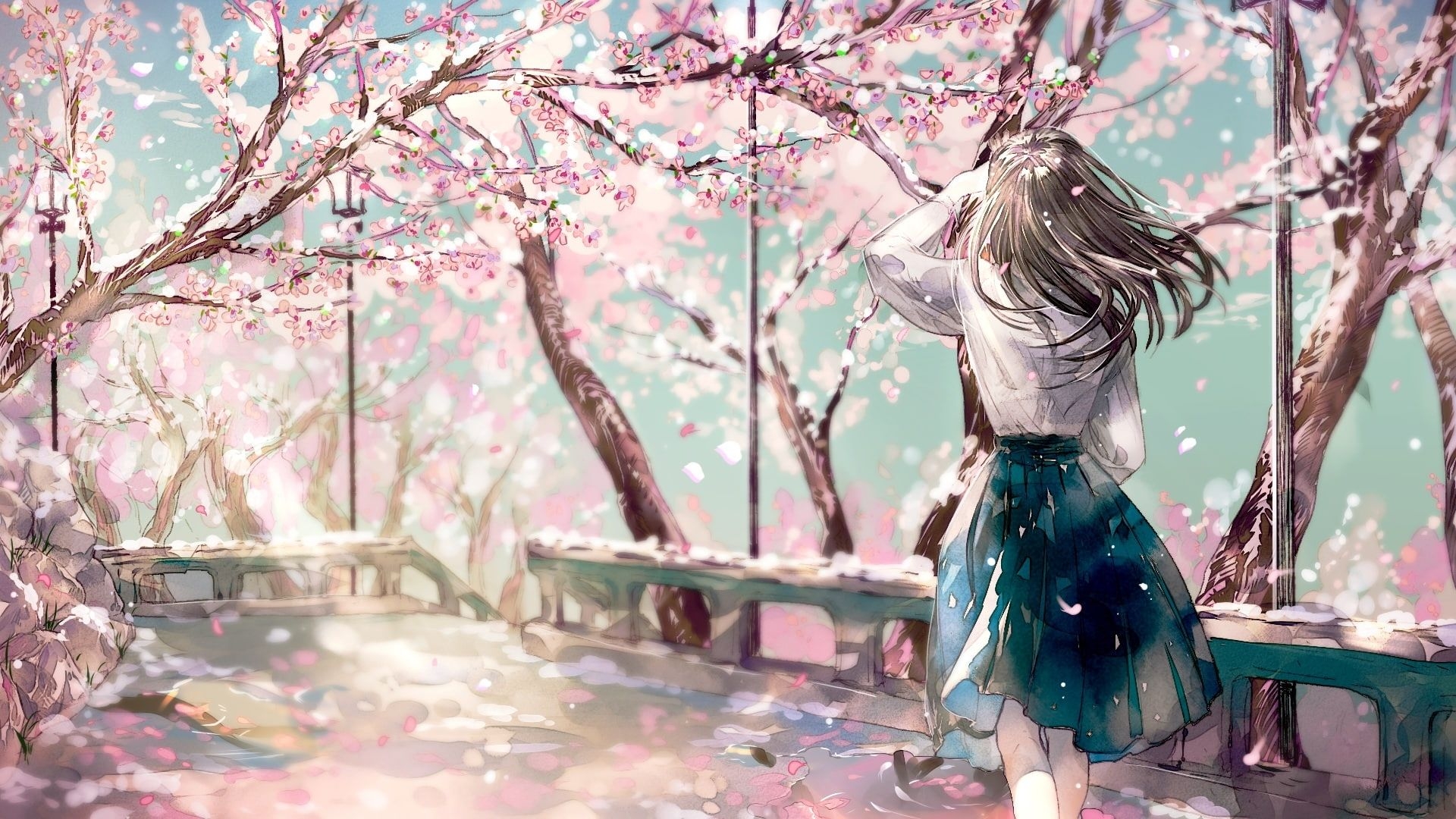 1920x1080 Cherry blossom, sakura, anime girl, back view, Anime, HD wallpaper, Desktop