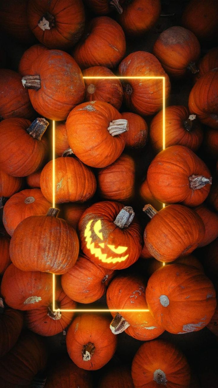 740x1310 Halloween Pumpkins Wallpaper. Pumpkin wallpaper, Scary halloween pumpkins, Halloween wallpaper iphone, Phone