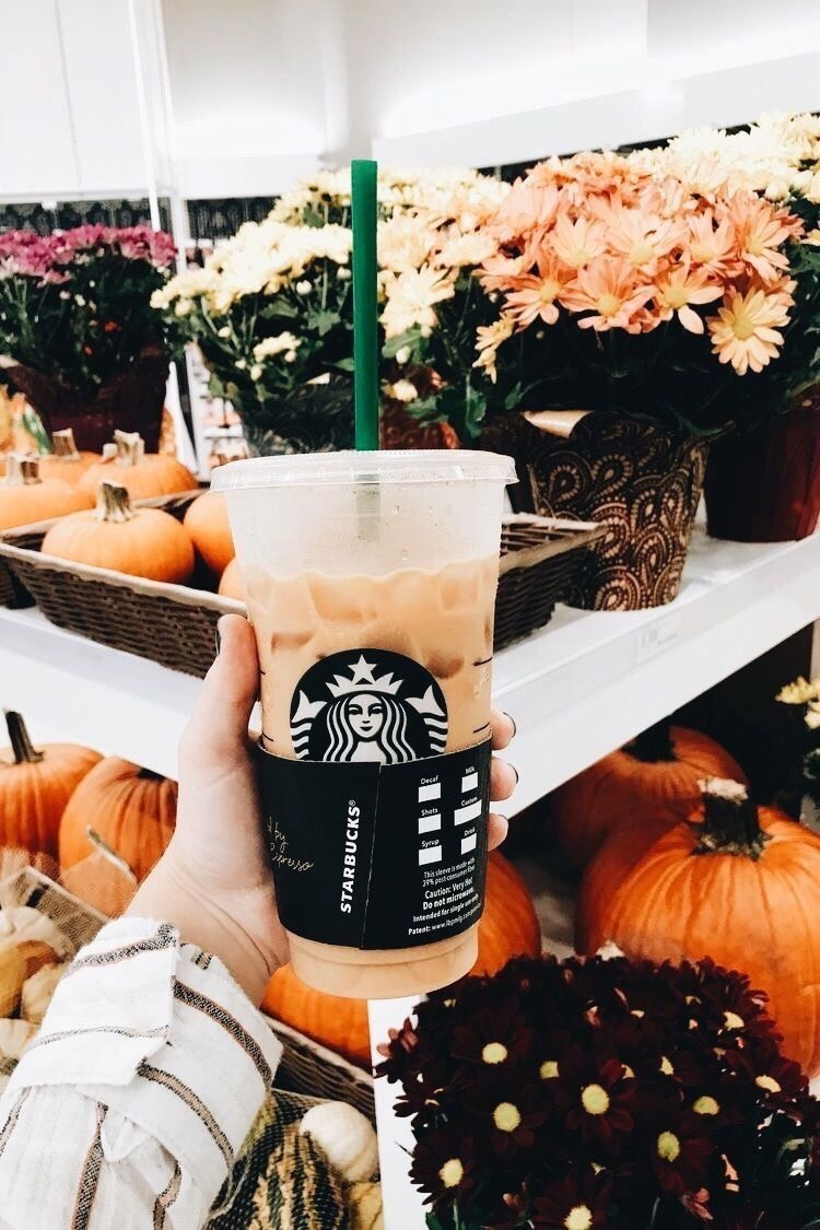 750x1130 & insta ↠. Fall vibes, Fall feels, Pumpkin spice, Phone