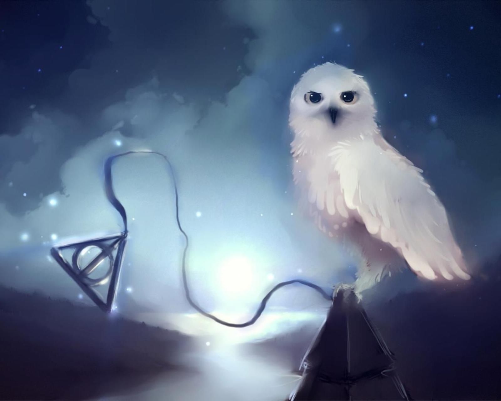 1600x1280 Hedwig Wallpaper. Hedwig Harry Potter, Desktop