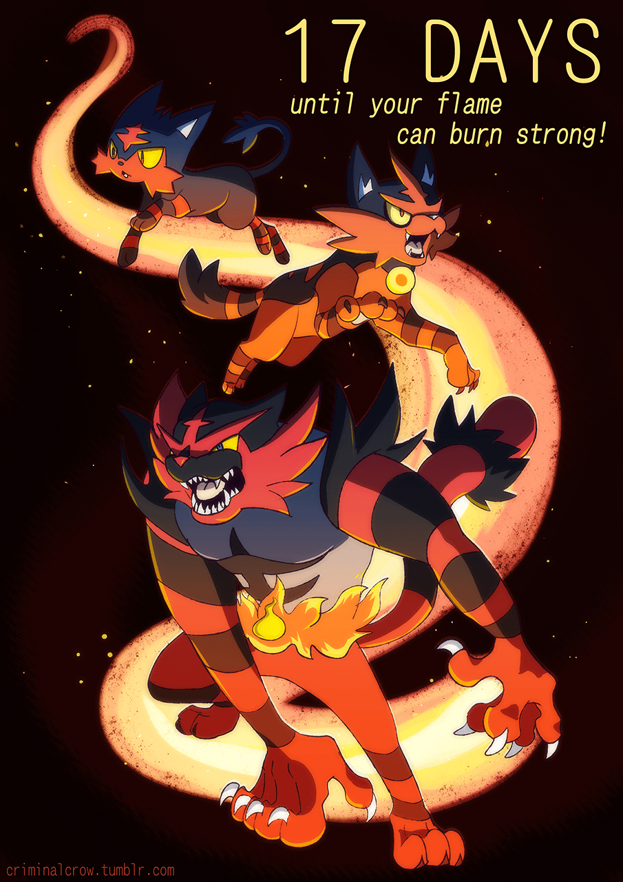 910x1280 Litten, Torracat, and Incineroar. Pokemon. Pokémon, Phone