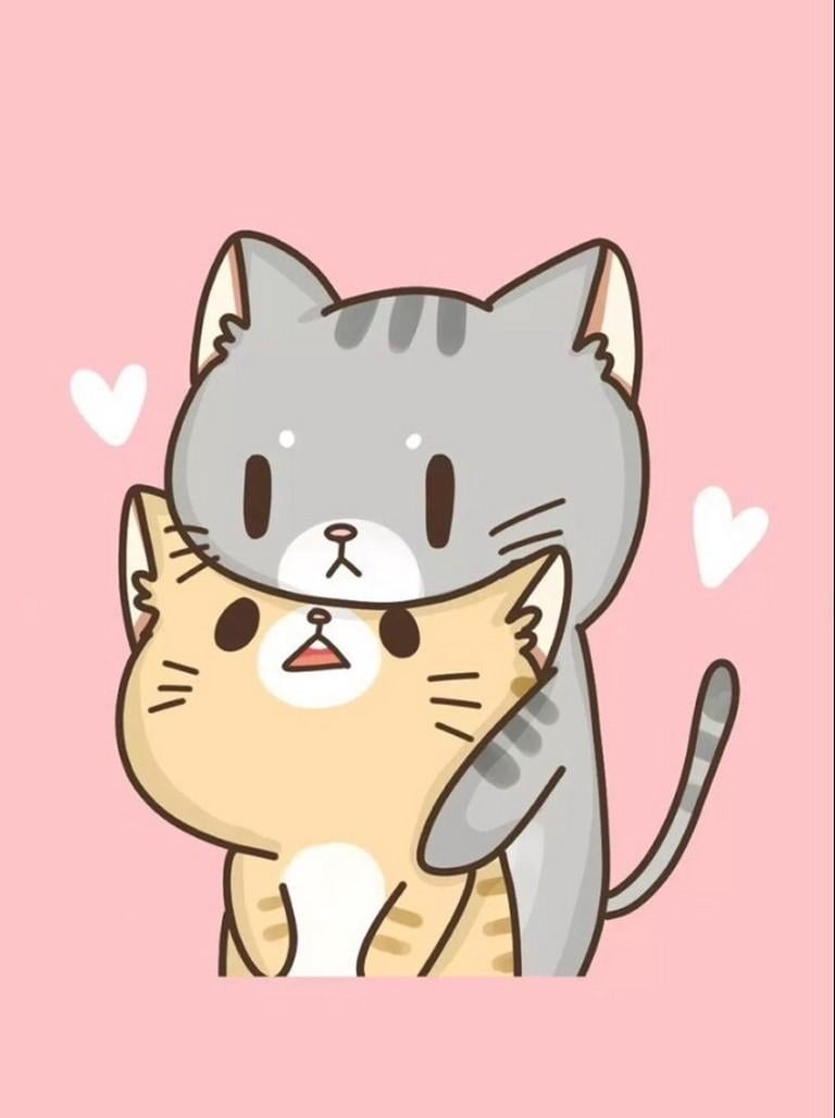 770x1030 Kawaii Cat Wallpaper for Android, Phone