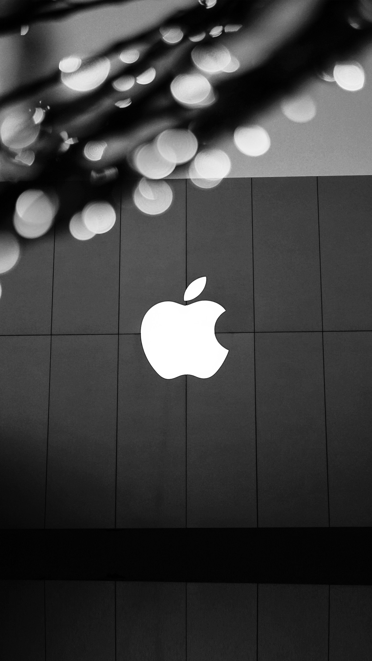 1250x2210 iPhone 6 wallpaper. apple logo bw dark, Phone