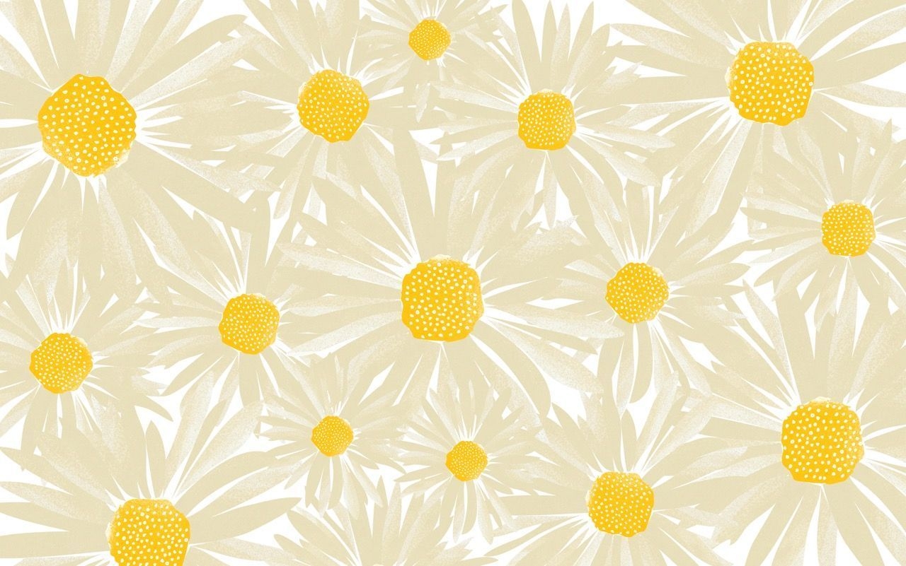 1280x810 Daisy Aesthetic Computer Wallpaper Free Daisy Aesthetic Computer Background, Desktop