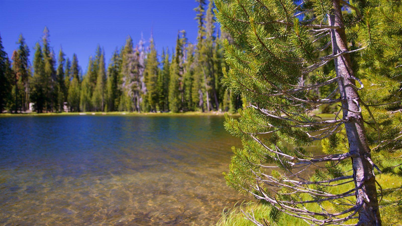 1600x900 Lassen Volcanic National Park Picture: View Photo & Image, Desktop