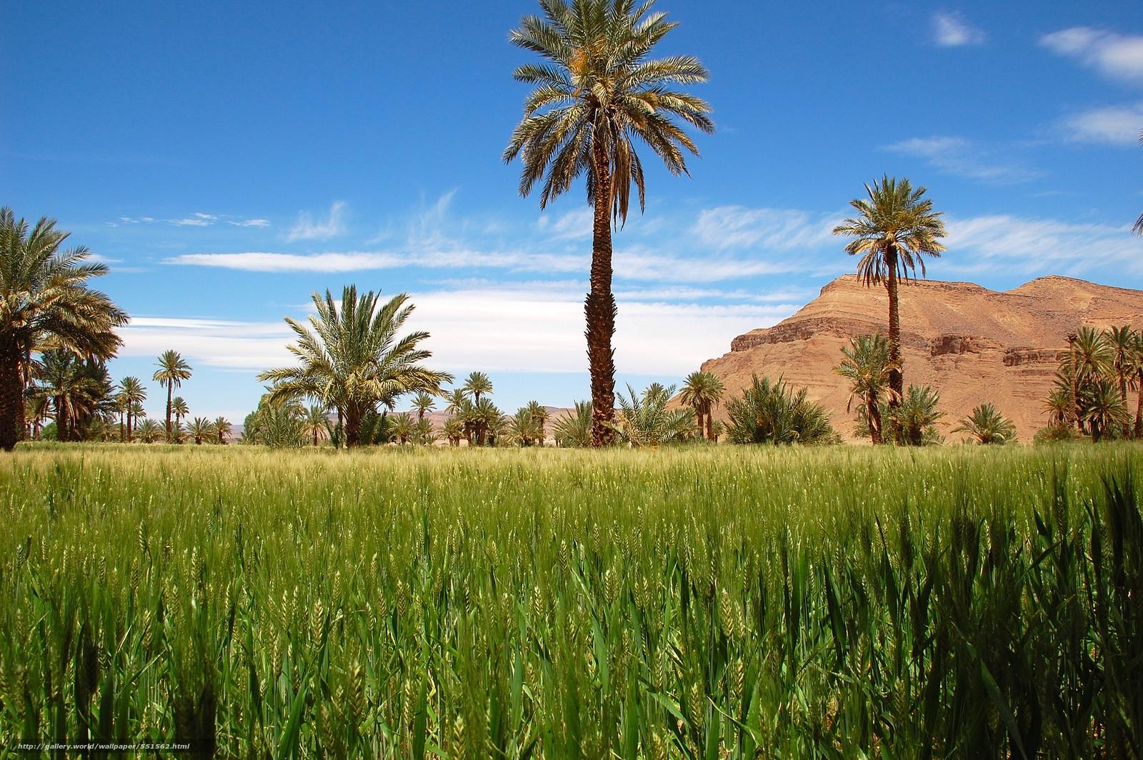 1600x1070 Download wallpaper Draa Valley, Morocco, landscape free desktop, Desktop