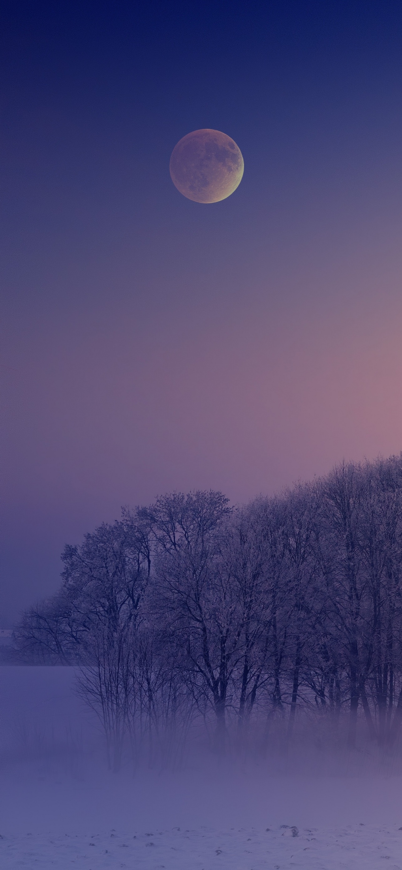 1290x2780 Winter Wallpaper 4K, Aesthetic, Morning, Foggy, Moon, Landscape, Cold, Nature, Phone