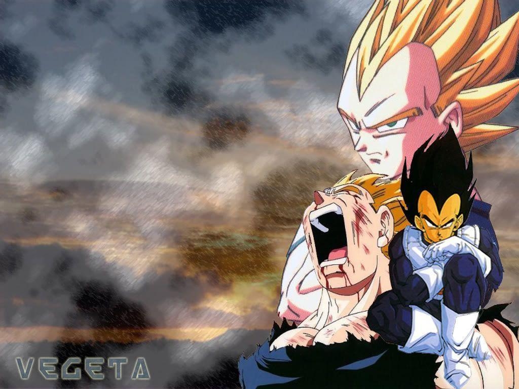 1030x770 Vegeta Vegeta Wallpaper, Desktop