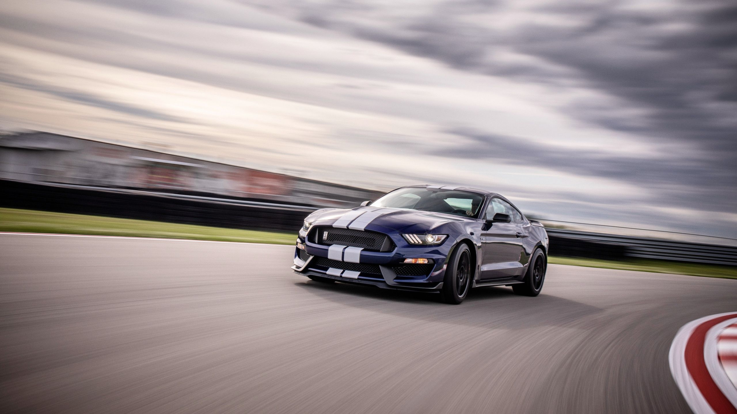 2560x1440 Ford Mustang Shelby GT350 1440P Resolution HD 4k, Desktop