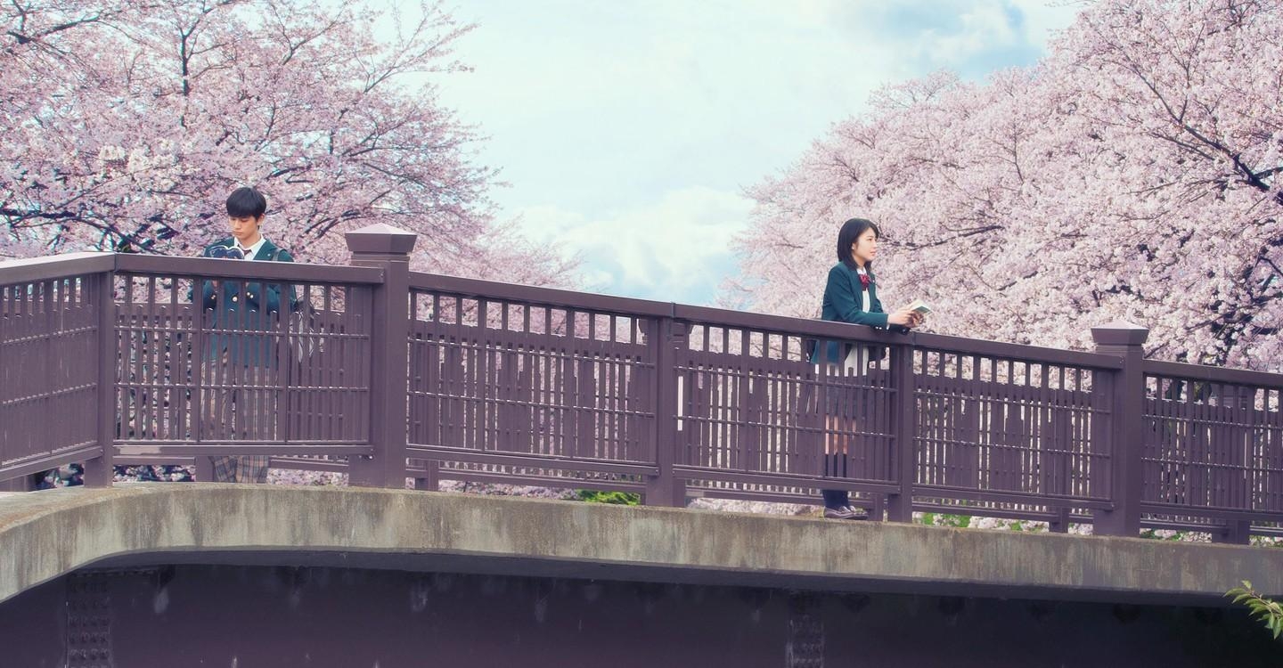 1440x750 I Want to Eat Your Pancreas, Desktop