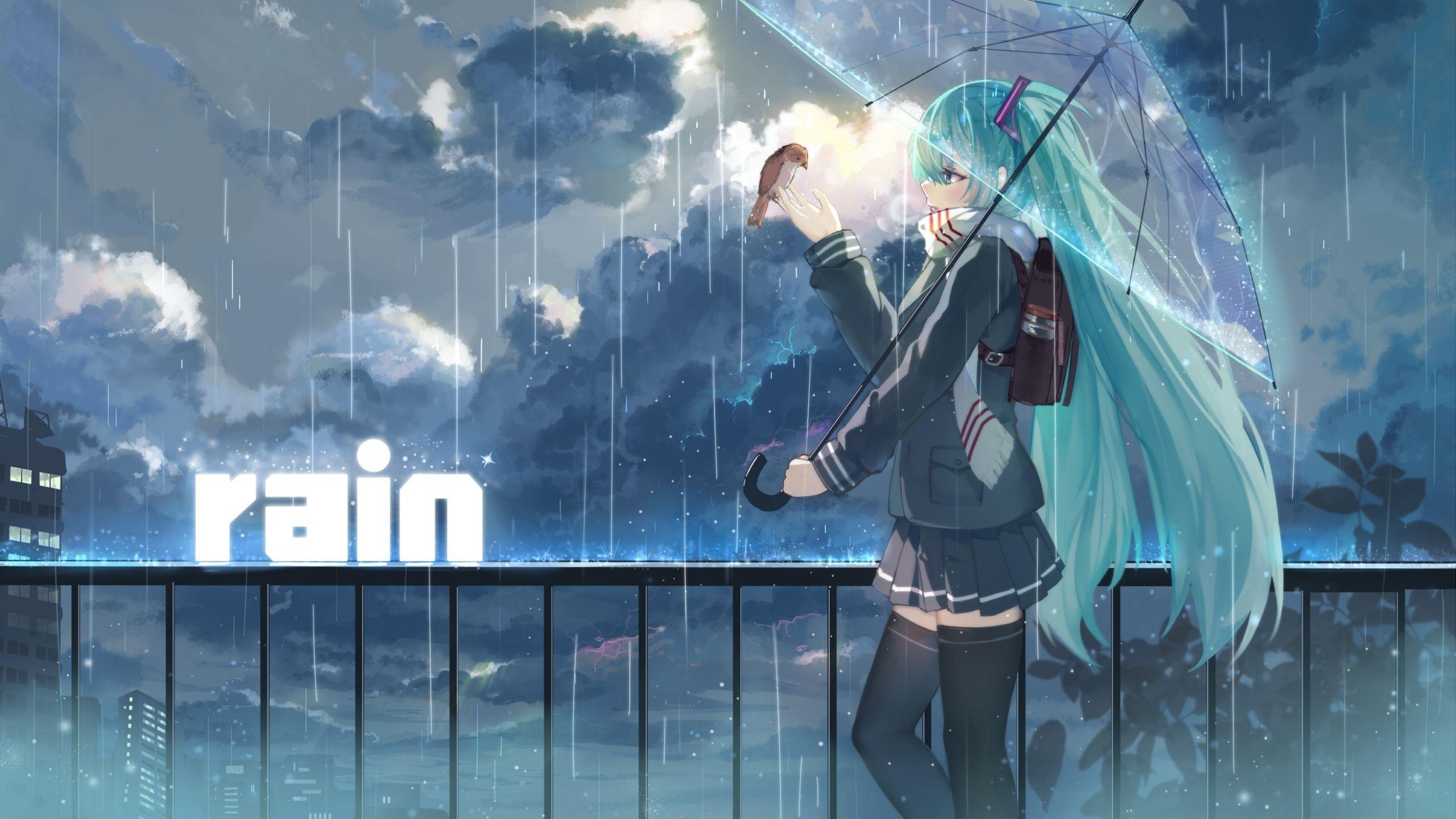 2560x1440 Wallpaper haraguro you, vocaloid, hatsune miku, girl, Desktop