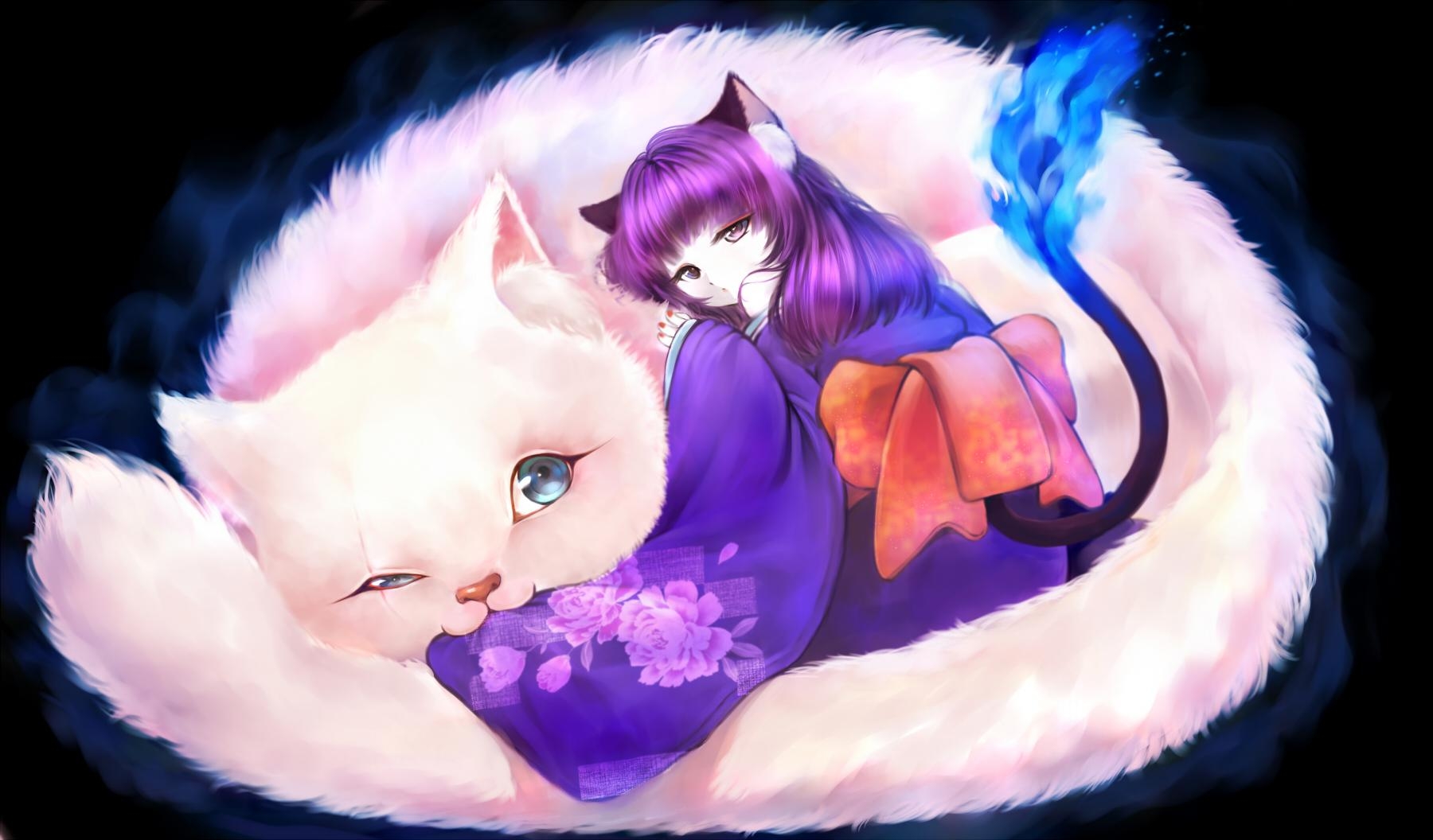 1800x1060 Purple Anime Kittens, Desktop