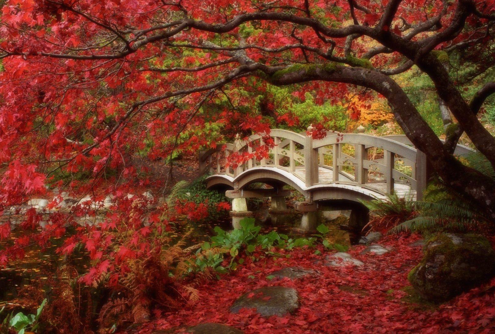 1600x1080 Royal Tag wallpaper: Canal Mood Dusseldorf Avenue Bridge Autumn, Desktop