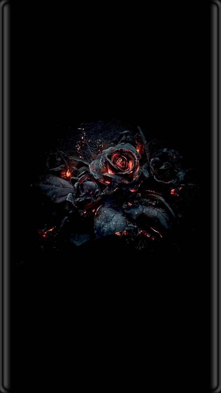 720x1280 FIRE ROSES wallpaper, Phone