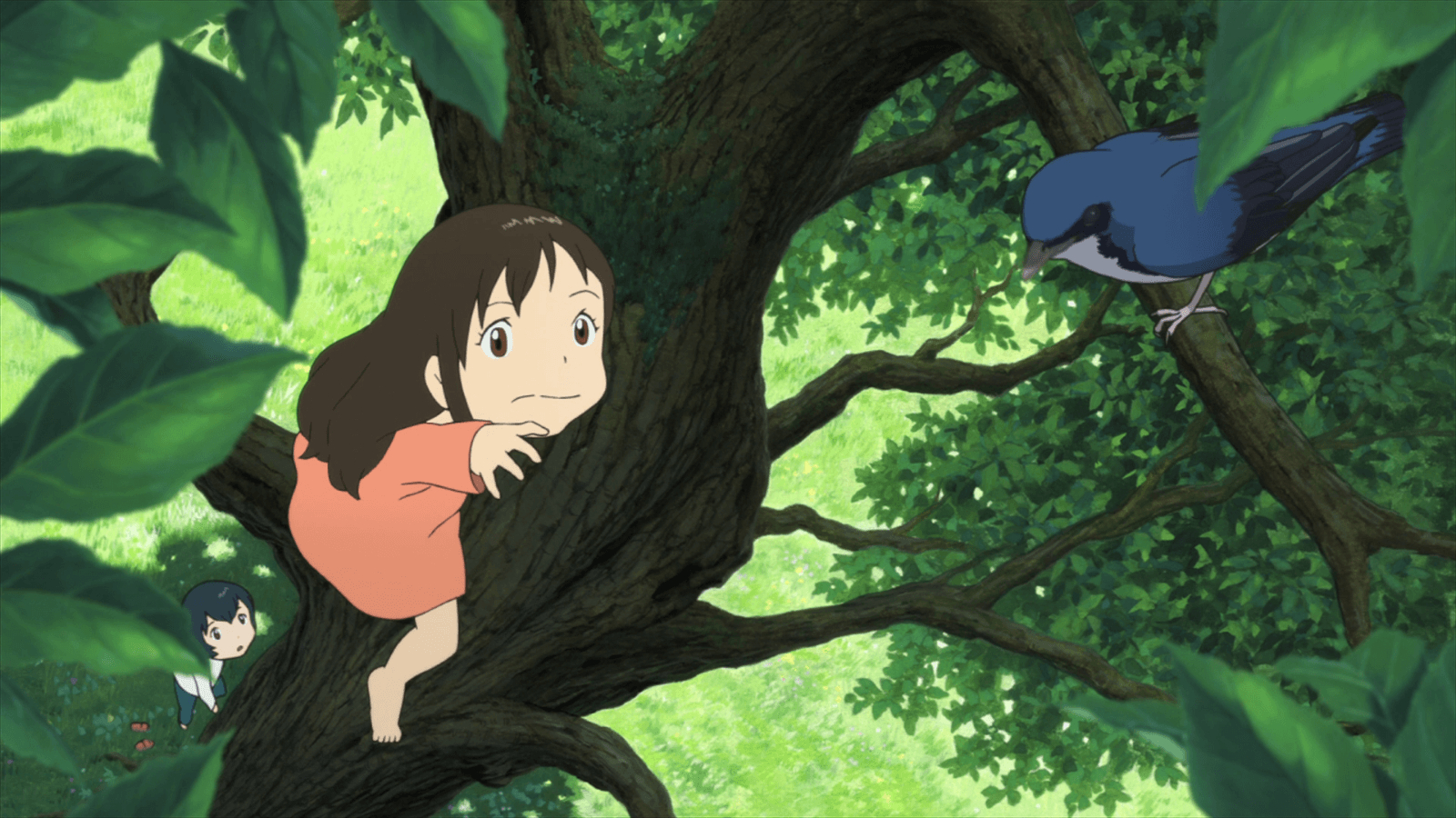 1600x900 Ame and the bird, Wolf Children Wallpaper, Desktop