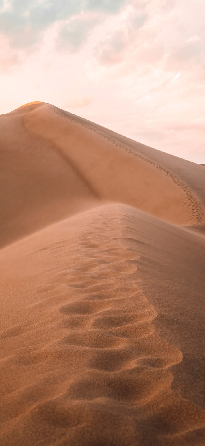 720x1560 Sand Dunes In The Brown Desert 4K Phone, Phone