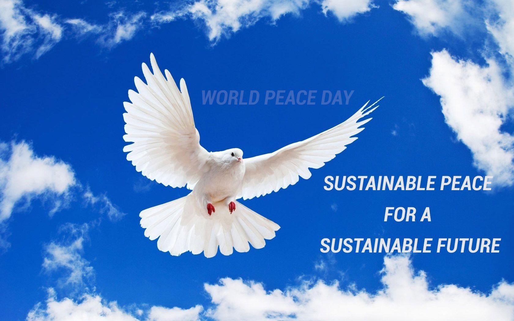 1680x1050 International Day of Peace Wallpaper 10 X 1050, Desktop