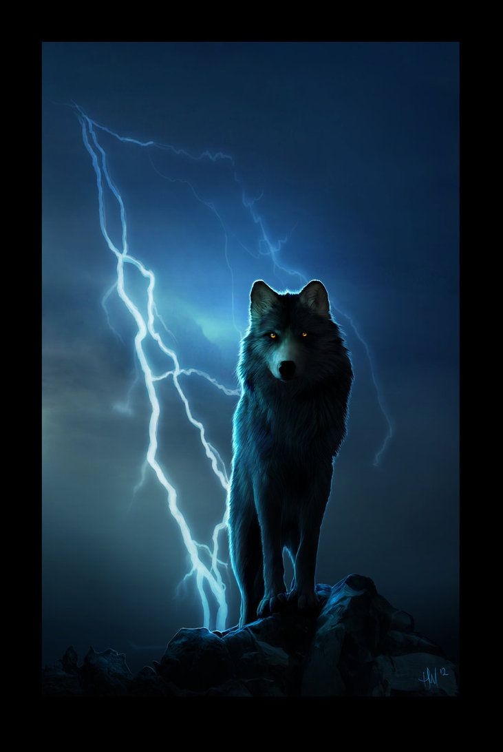 740x1100 Elemental. Wolf dog, Wolf picture, Wolf spirit animal, Phone