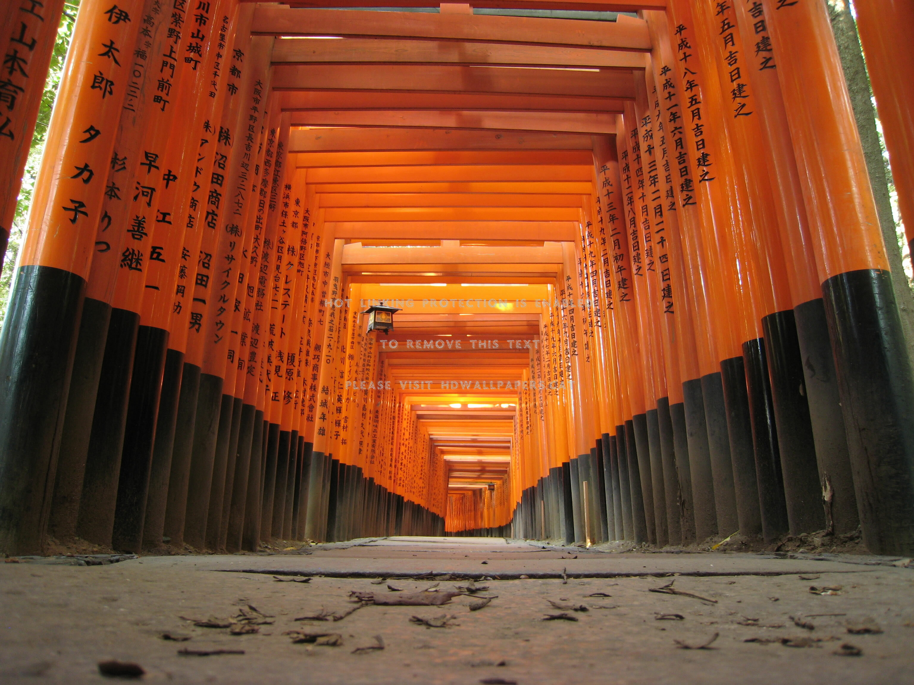 3080x2310 fushimi inari taisha japanese shrine torii, Desktop