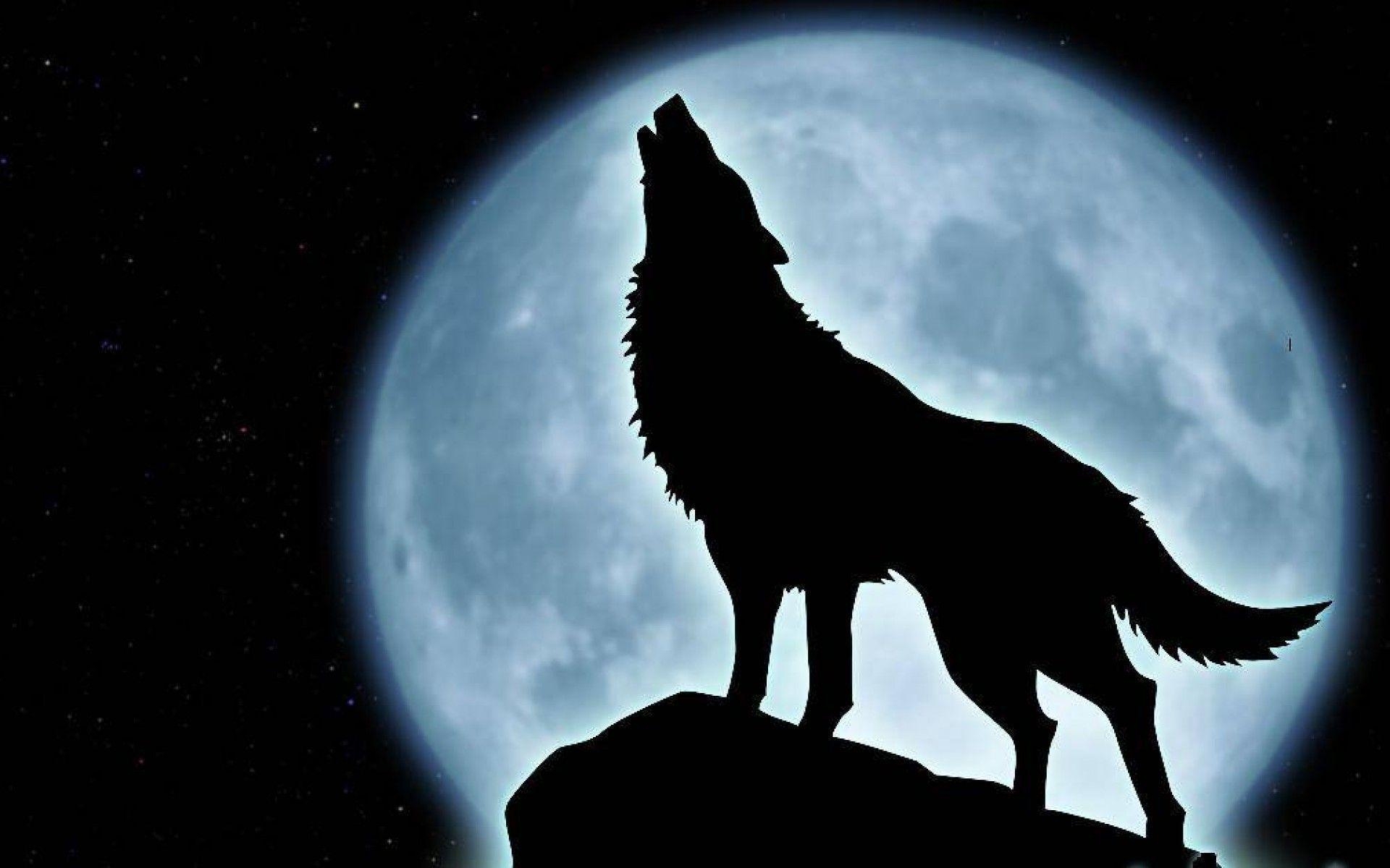 1920x1200 Animals For > Wolf Pack Howling Wallpaper, Desktop