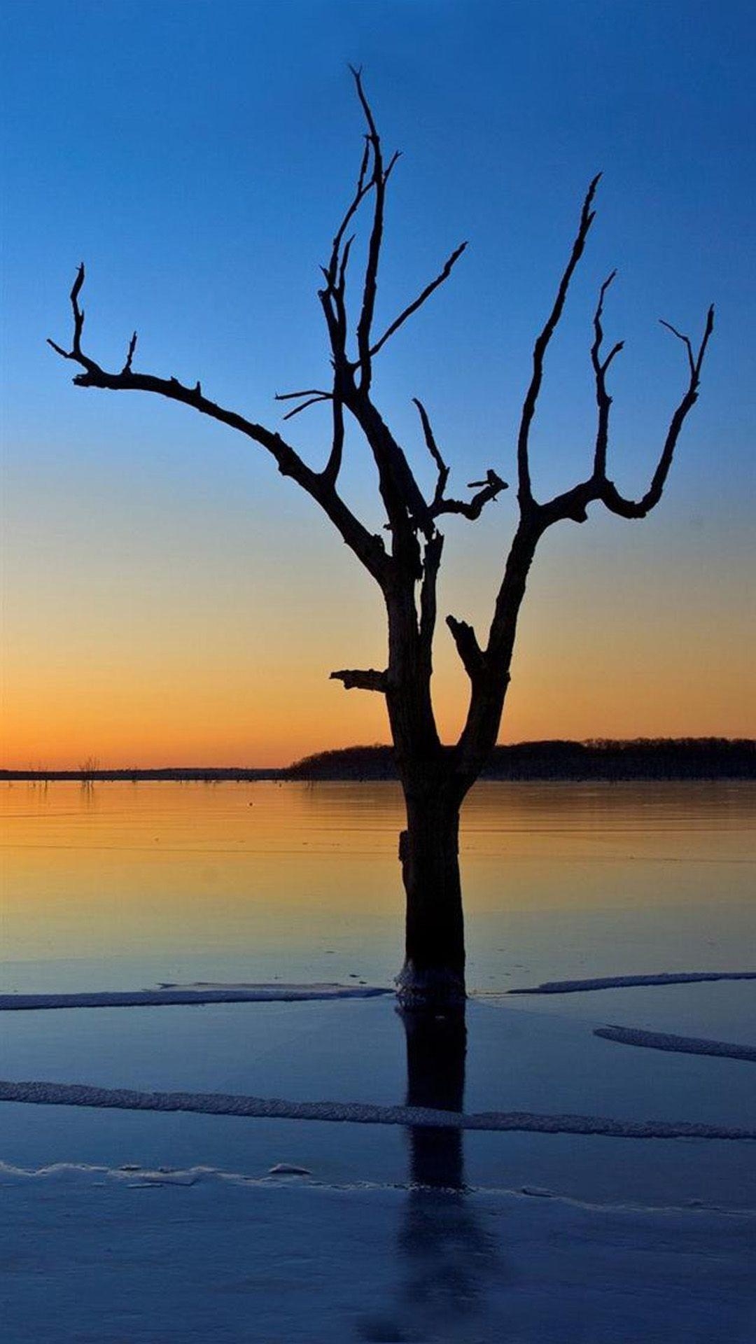 1080x1920 Sunset Tree 5 Galaxy Note 3 Wallpaper, Phone