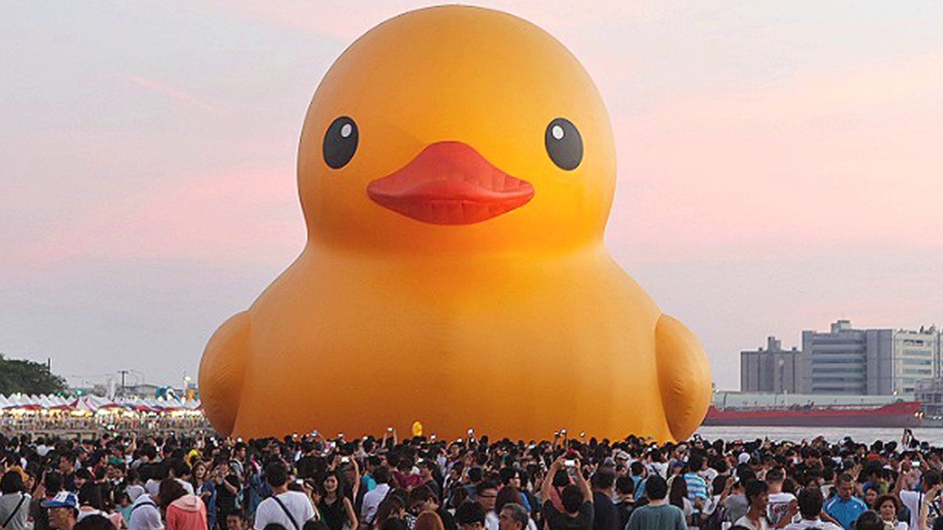 1920x1080 Free download Giant Rubber Ducky Wallpaper Image Picture Becuo [] for your Desktop, Mobile & Tablet. Explore Giant Rubber Duck Wallpaper. Duck Wallpaper, Akron Rubber Ducks Wallpaper, Desktop