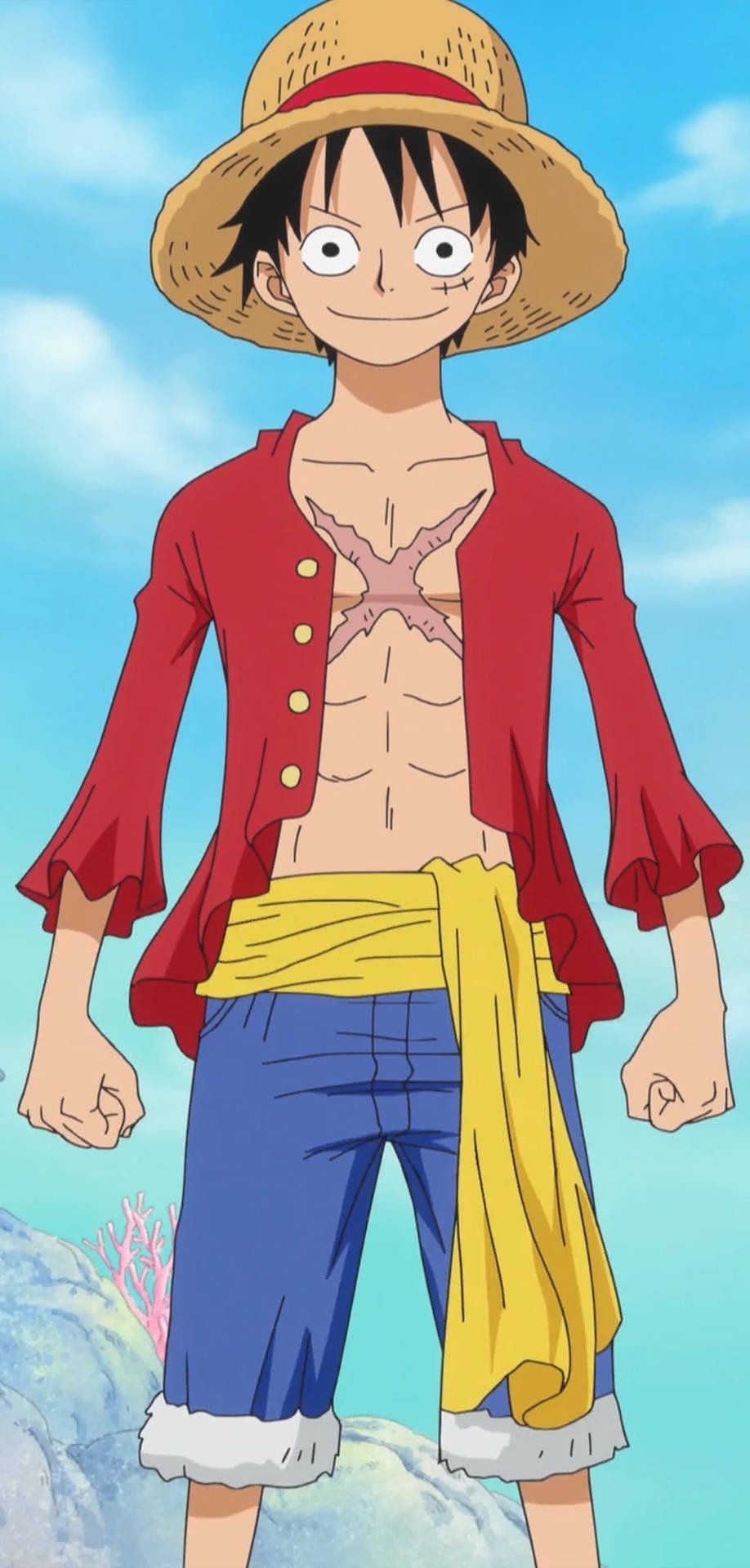 920x1920 Download One Piece iPhone Luffy Body Portrait Wallpaper, Phone