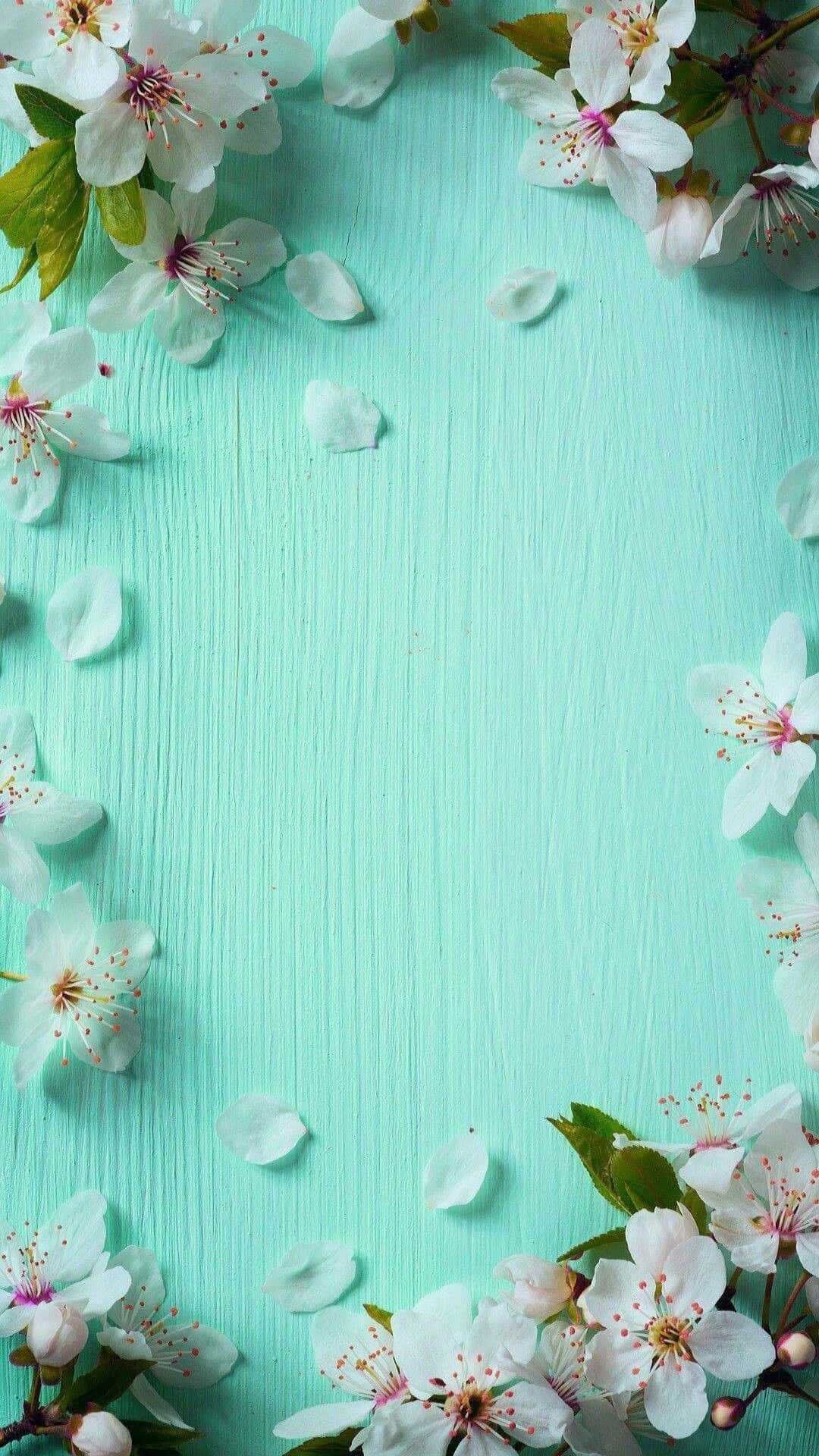 1080x1920 Cute Spring Mint Green iPhone Wallpaper, Phone